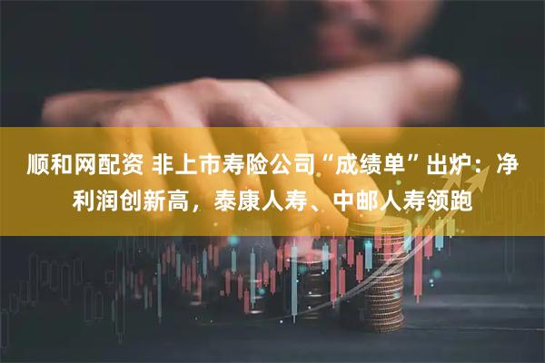 顺和网配资 非上市寿险公司“成绩单”出炉：净利润创新高，泰康人寿、中邮人寿领跑