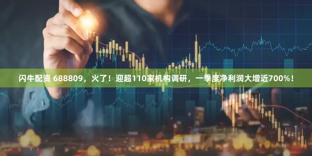 闪牛配资 688809，火了！迎超110家机构调研，一季度净利润大增近700%！